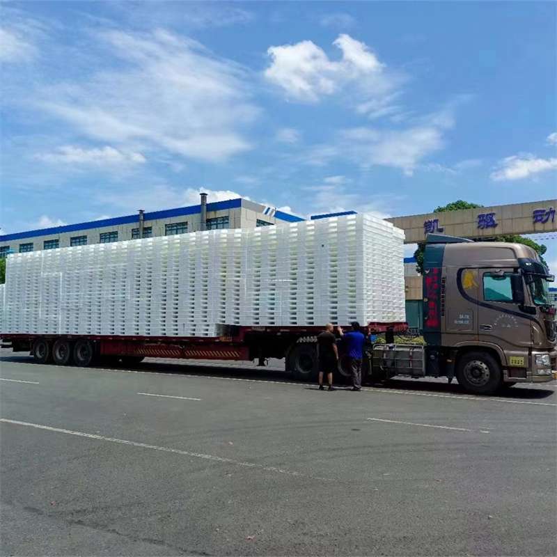 辽宁葫芦岛绥中县到玉林物流公司——一站式服务，让货运更轻松（玉林专线物流）